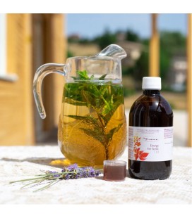 Tisana Fer Tonic / Energy